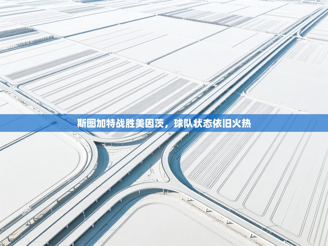 斯图加特战胜美因茨，球队状态依旧火热  第2张