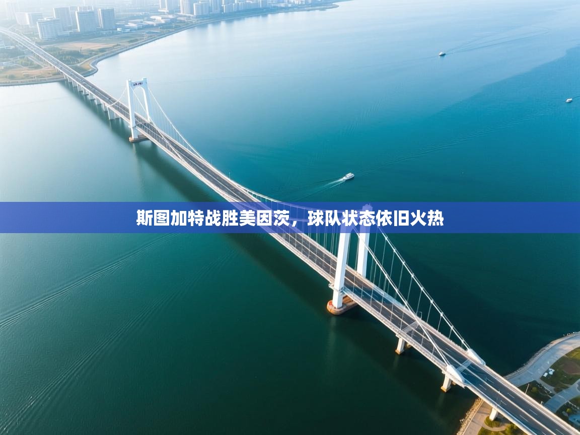 斯图加特战胜美因茨，球队状态依旧火热  第1张