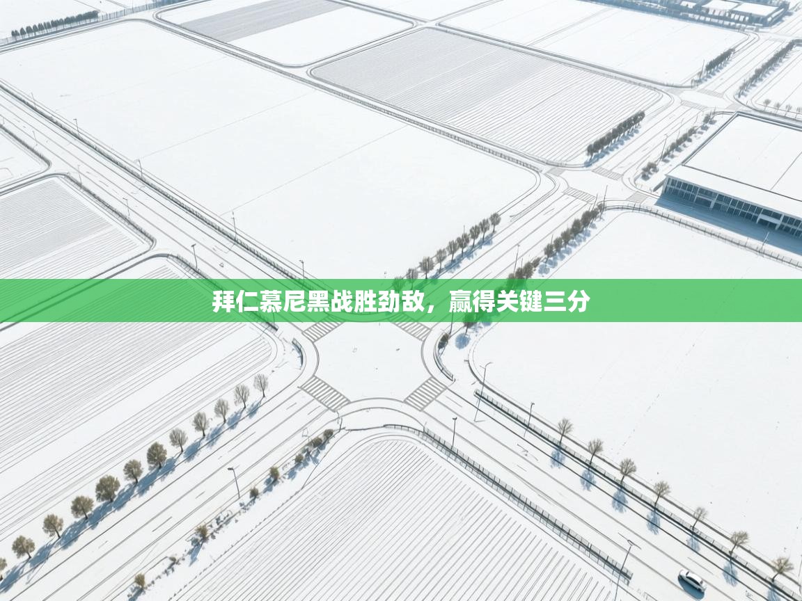 拜仁慕尼黑战胜劲敌，赢得关键三分  第1张