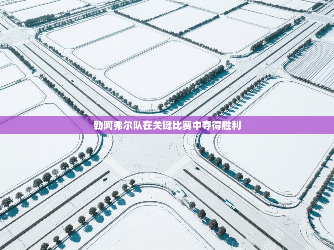 勒阿弗尔队在关键比赛中夺得胜利  第1张