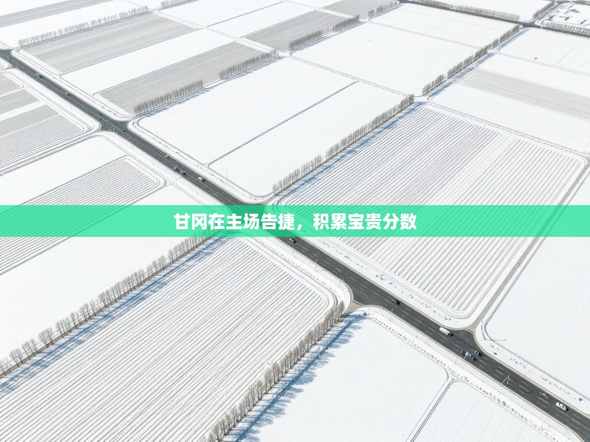 甘冈在主场告捷，积累宝贵分数  第2张