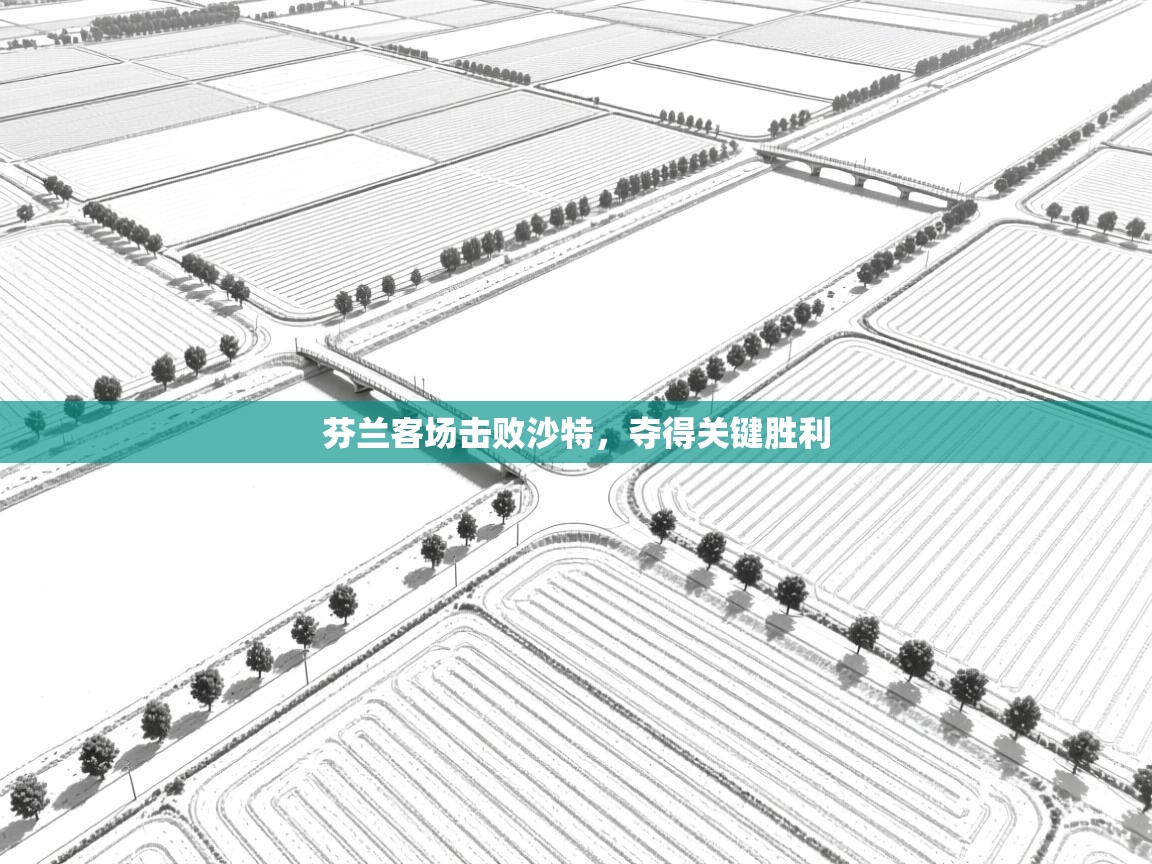 芬兰客场击败沙特，夺得关键胜利